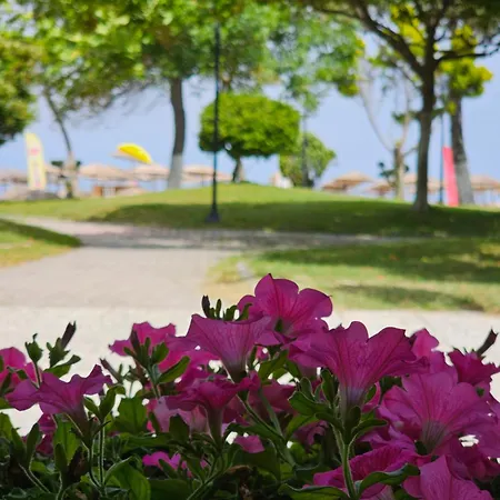Appartement Violet Olympic Olympiakí Aktí