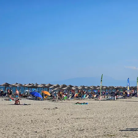 Violet Olympic Appartement *