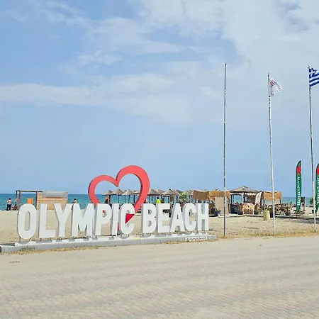 Apartament Violet Olympic