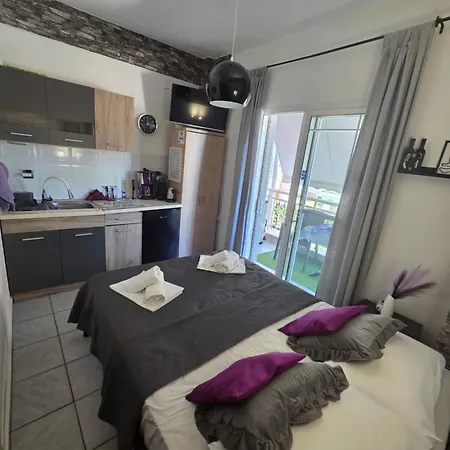 Apartament Violet Olympic *